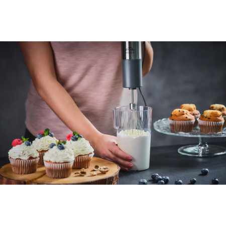 Mixér tyčový ETA SPESSO II 2215 90000 nerezový sivý 1200W