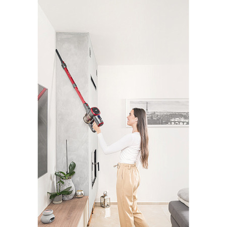 Vysávač tyčový ETA FENIX 2233 90000 sivý/červený