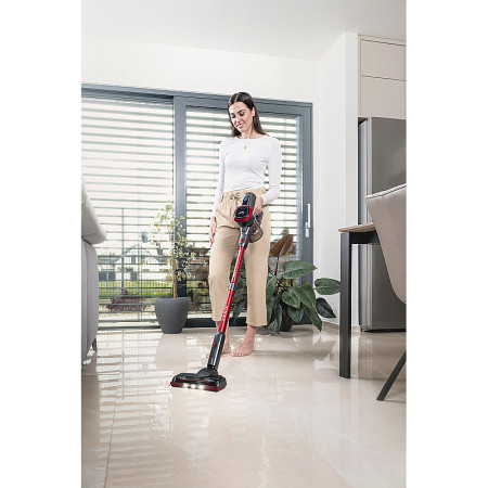 Vysávač tyčový ETA FENIX 2233 90000 sivý/červený