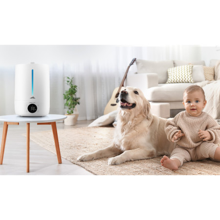 Zvlhčovač vzduchu ultrazvukový ETA Moisty Smart 2629 90000