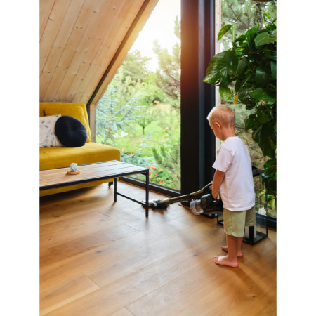 Vysávač tyčový ETA GOLD POWER 1233 90000 zlatý 250W