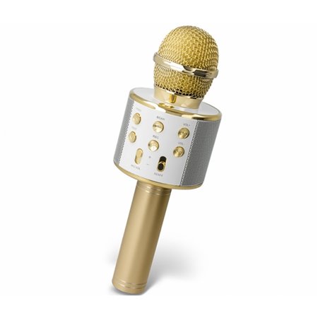 Mikrofón ručný FOREVER BMS-300 GOLD Karaoke