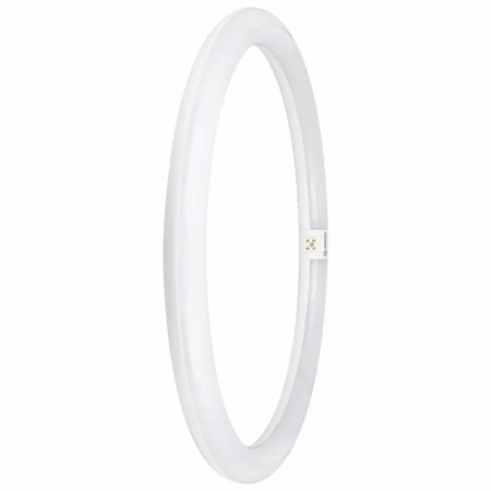 Žiarovka LEDVANCE LED G10Q T9 L24W/840 kruhová (náhrada za L40W) VC