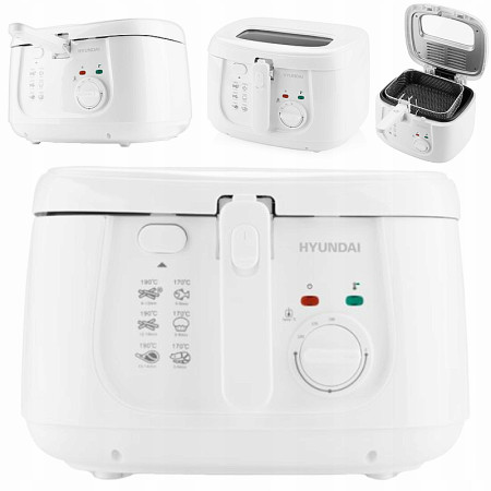 Fritéza HYUNDAI DF165 nerez 2,5L