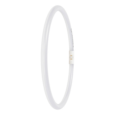 Žiarovka LEDVANCE LED FC40/55LED 21,5W/840 2Gx13 kruhová PMC