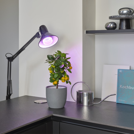 Žiarovka OSRAM LED STAR GROW LAMP T60 E27 10W pre rast rastlín