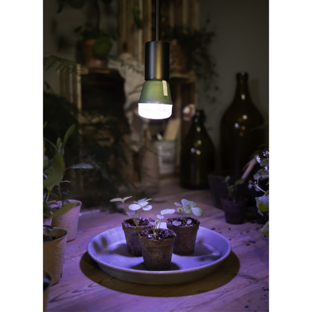 Žiarovka OSRAM LED STAR GROW LAMP T60 E27 10W pre rast rastlín