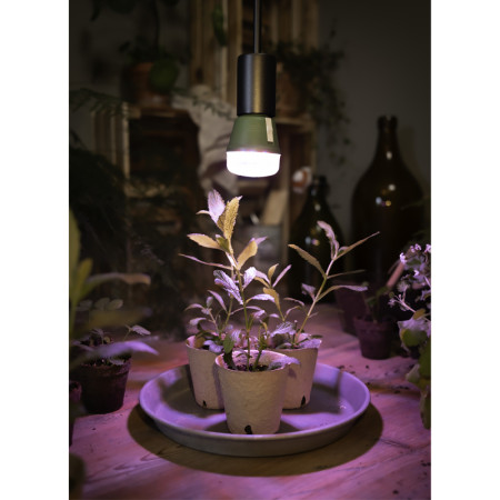 Žiarovka OSRAM LED STAR GROW LAMP T60 E27 10W pre rast rastlín