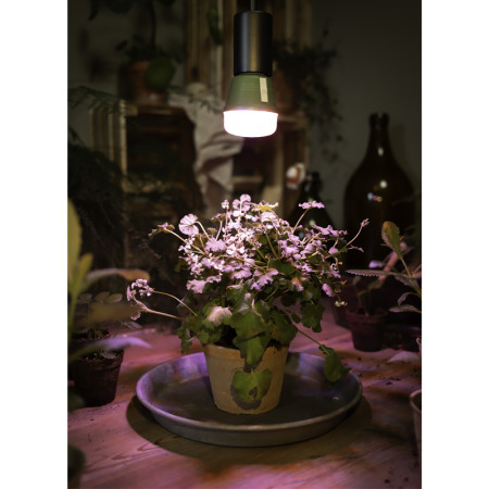 Žiarovka OSRAM LED STAR GROW LAMP T60 E27 10W pre rast rastlín