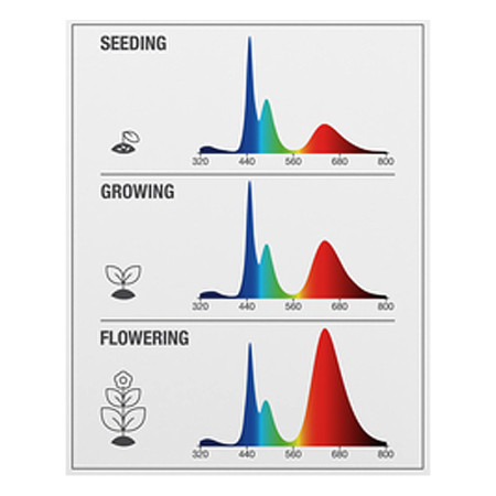 Žiarovka OSRAM LED STAR GROW LAMP T80 E27 20W pre rast rastlín