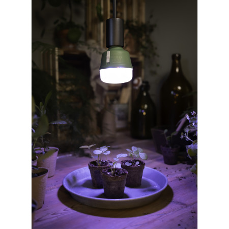 Žiarovka OSRAM LED STAR GROW LAMP T80 E27 20W pre rast rastlín