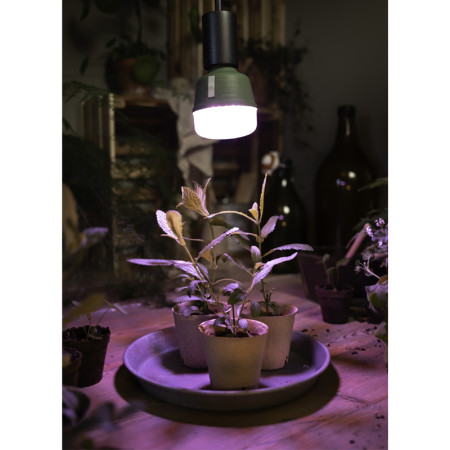 Žiarovka OSRAM LED STAR GROW LAMP T80 E27 20W pre rast rastlín